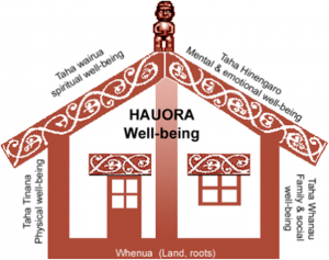 Four pillars of wellbeing Maori